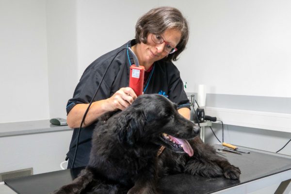Tierarztpraxis Ulrike Renner in Arnschwang